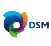 dsm